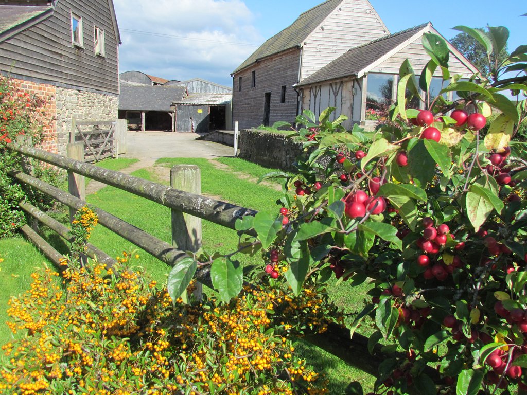 Autumn day. Apple tree in foreground