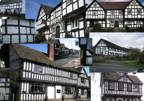 TheBlackandWhiteTrail